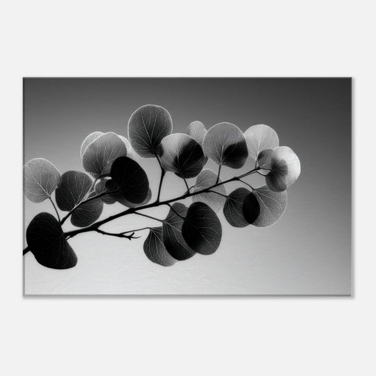 97046854-fb0a-4f47-b9dc-2bea8eee28c2