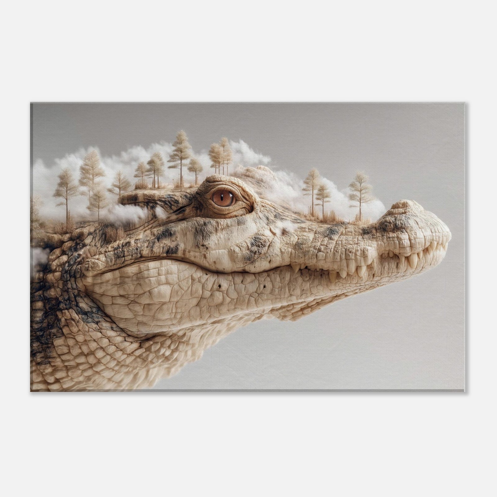 971fe10f-9b66-4413-906a-541a04c917f6