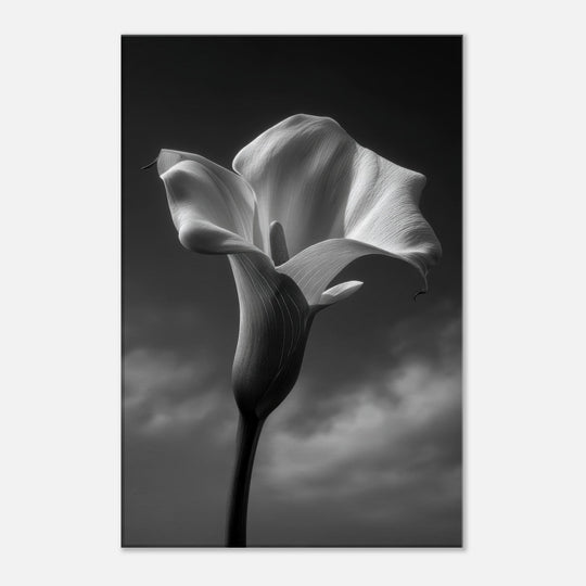 98875289-02b5-4c45-8a50-d3aeb0a986a6