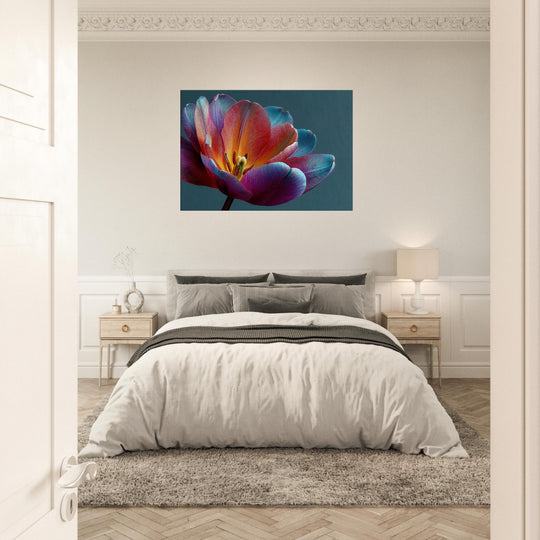 98ea0bd2-2cf1-436a-af9c-9519dc0a5032