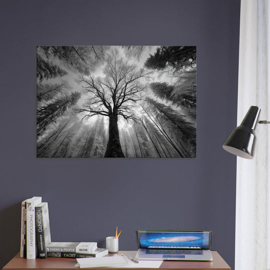 9914bd29-f4a3-41de-ad90-df735436c279