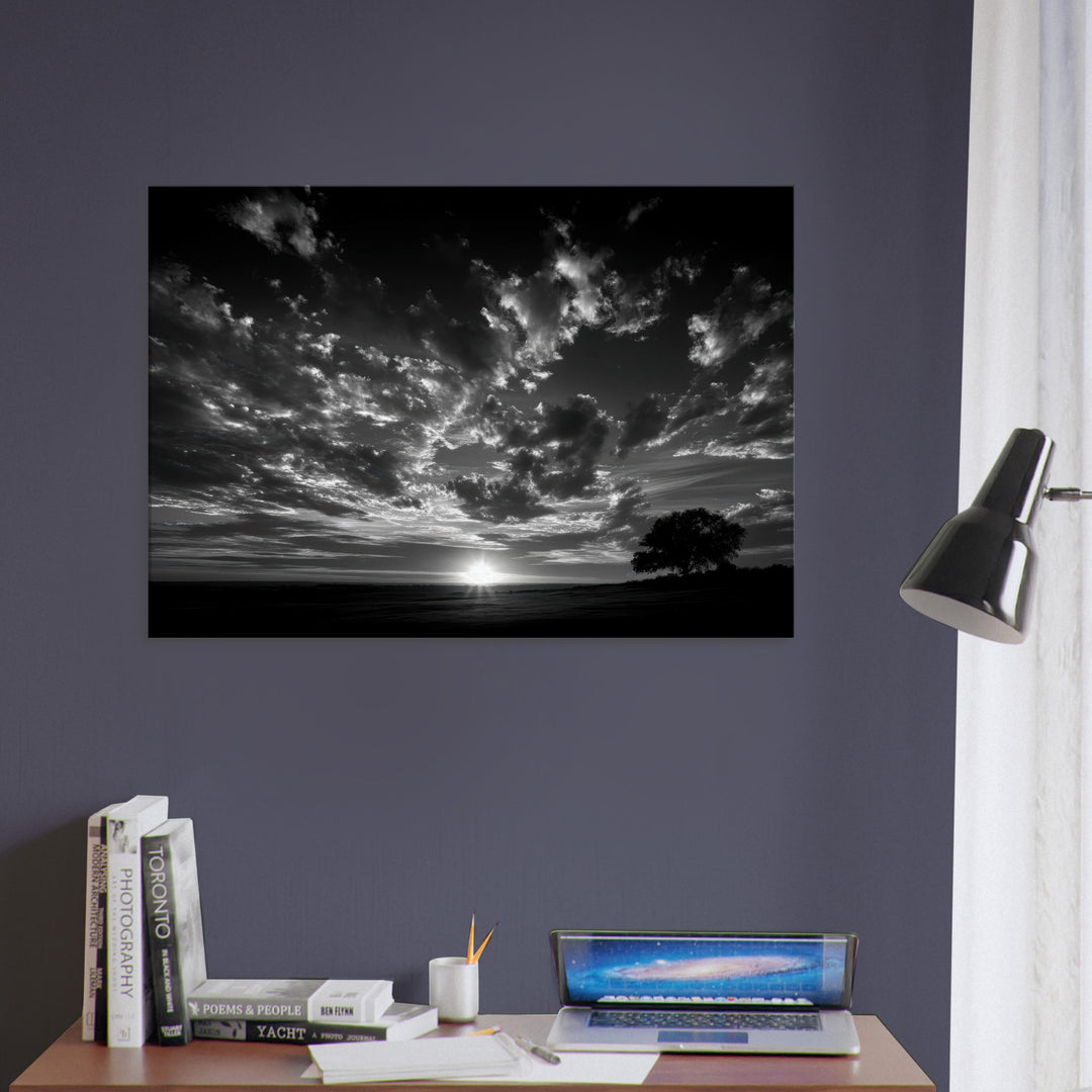 99c0e340-ccd7-419d-bfec-6a6a6ba90269