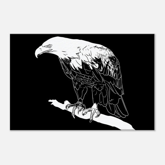 9aca72f2-0105-4471-85a9-e14c88556de8