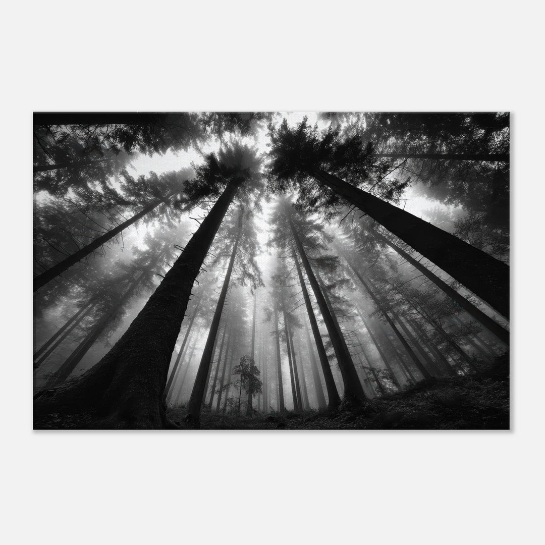 9b0bf659-7bdb-4a94-9f7f-7bc246c7fc12