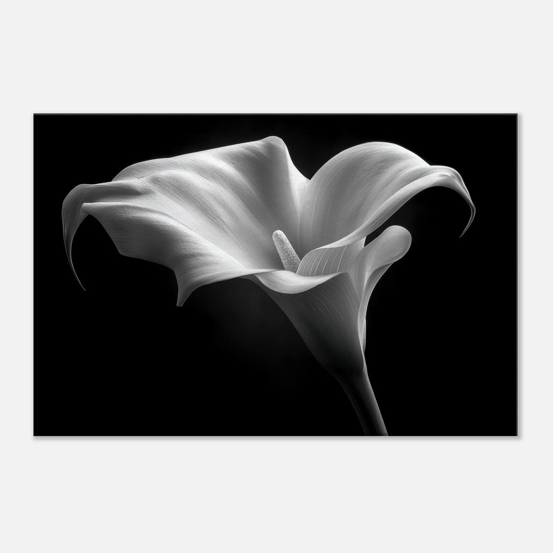 9b3d5810-519f-4fee-a6ae-040c6388c5d6