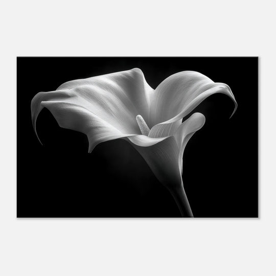 9b3d5810-519f-4fee-a6ae-040c6388c5d6