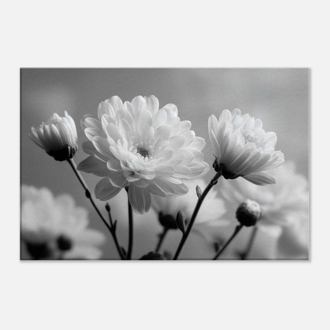 9b7c4f2a-c712-4819-a5b7-1c141322d3a9