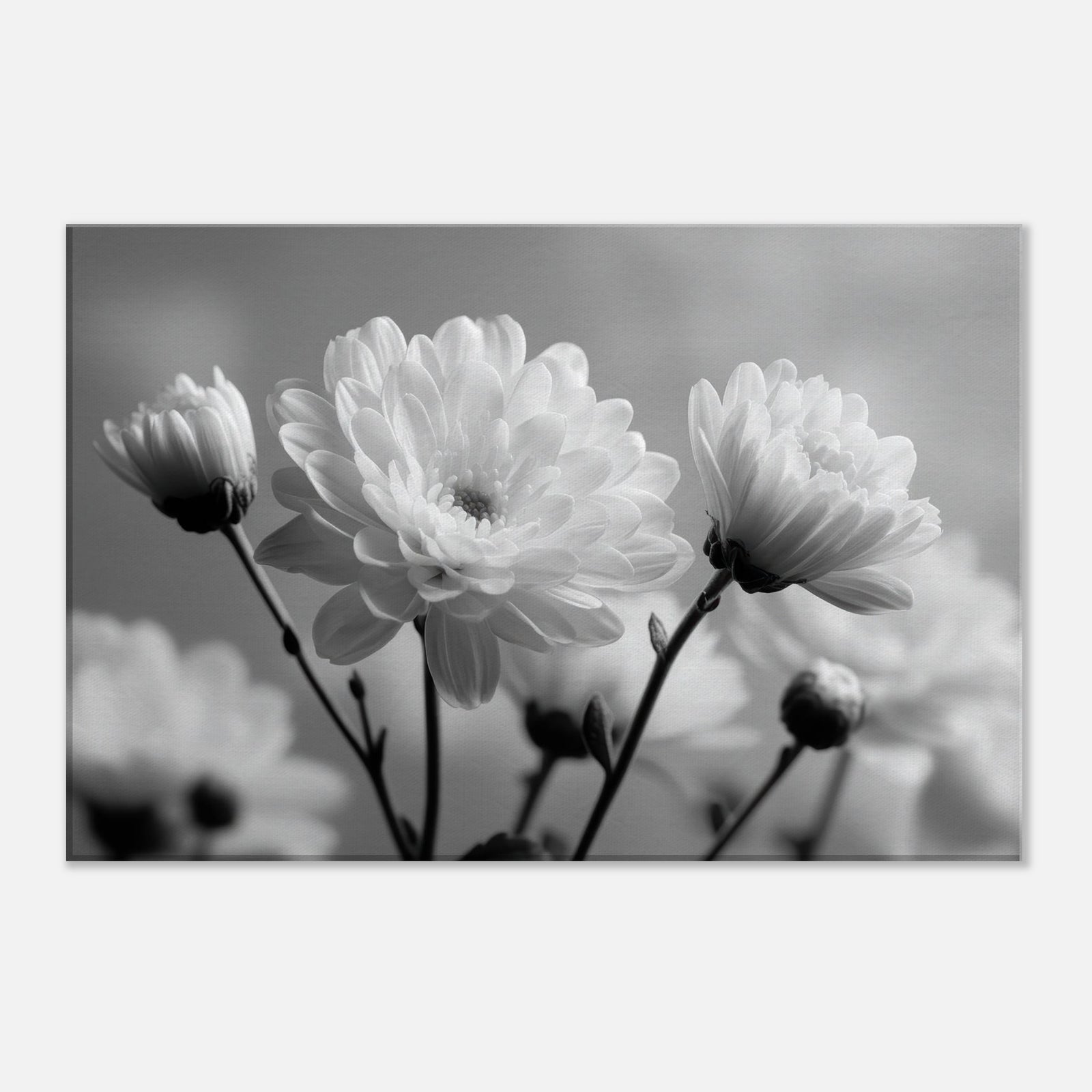 9b7c4f2a-c712-4819-a5b7-1c141322d3a9