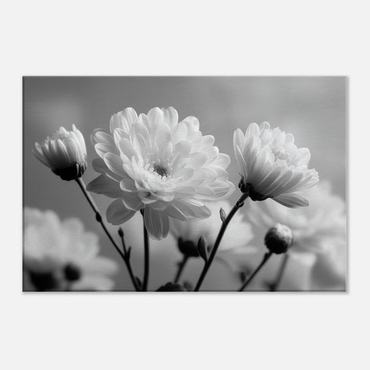 9b7c4f2a-c712-4819-a5b7-1c141322d3a9