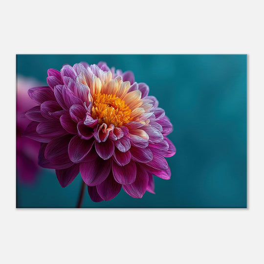 9c465df2-e624-4f50-8d64-f39ddb448221