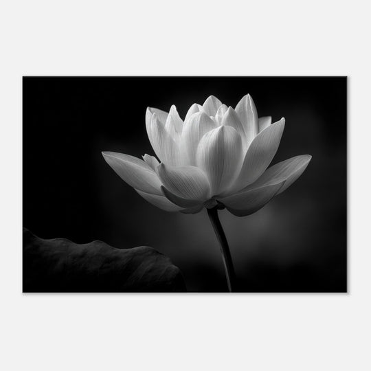 9c4708b2-e8e9-4854-8d10-76f8e03ebbe6