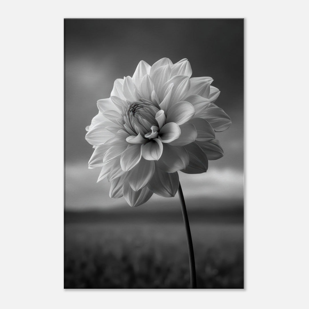 9cc2daf6-efcc-4e59-ac24-54b2c30e71b6