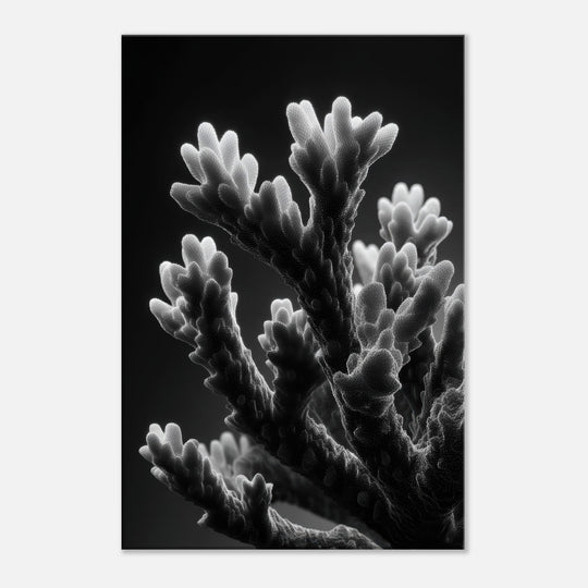 9d6de15f-c1e1-47fb-aba0-9cae8e5d6b57