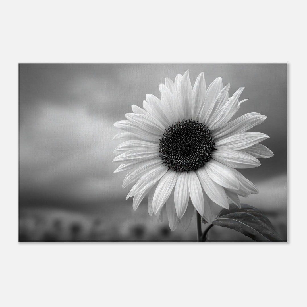 9d9c0256-9b33-4b4b-8a04-398f61ffc323