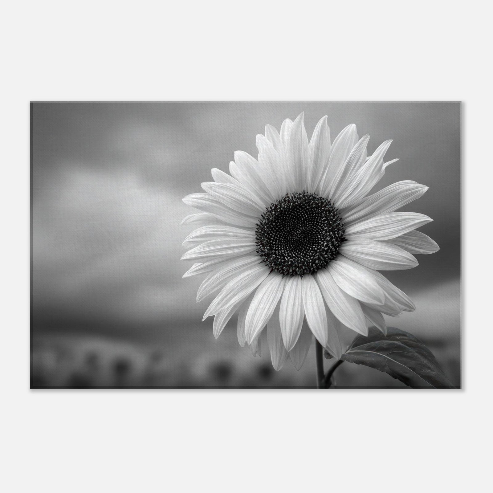 9d9c0256-9b33-4b4b-8a04-398f61ffc323