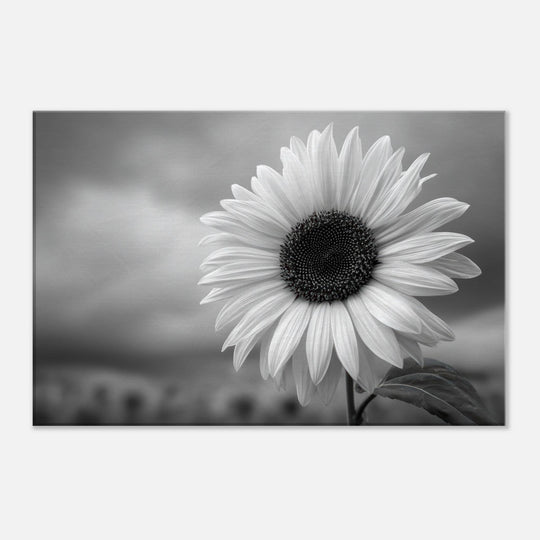 9d9c0256-9b33-4b4b-8a04-398f61ffc323