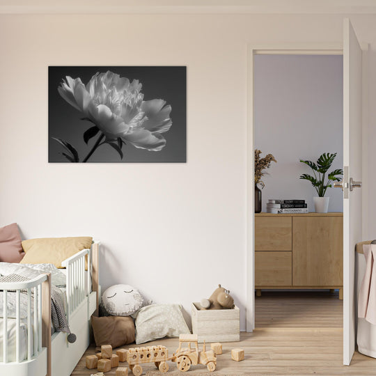 9e2dfae9-5138-418c-9c3a-5402bdf8c659