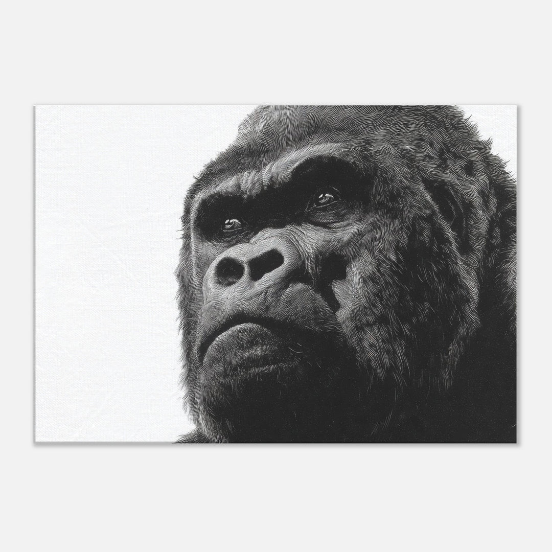 9e63b9b3-f989-42da-95da-ff0b407f695b