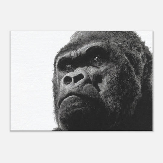 9e63b9b3-f989-42da-95da-ff0b407f695b