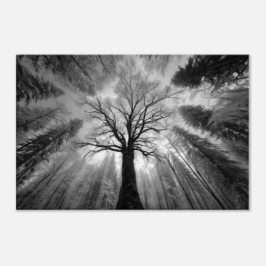 9e6c599a-9695-4cb7-8bc1-0ce54f67c2c1