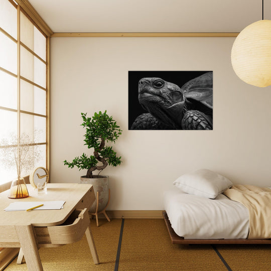 9e7a22f5-ff46-46bc-b4c1-f57dea6df741