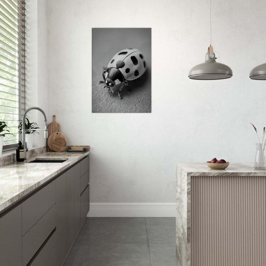 9ebdd543-d15d-4203-a9c3-437aef5edca1