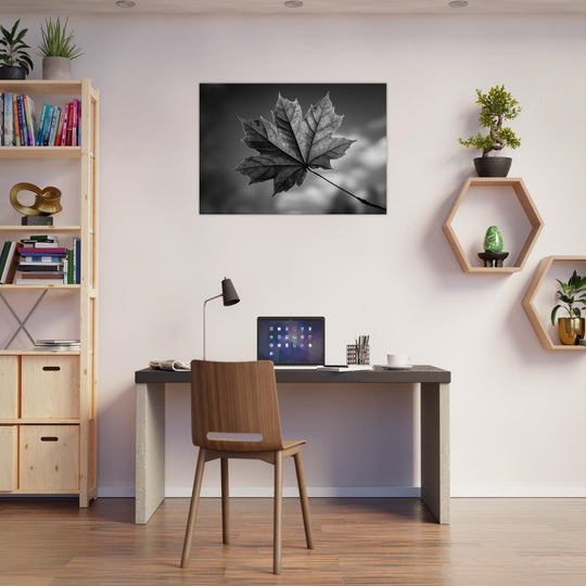 9eeffab6-c6d3-4559-b72d-9206af0e0468