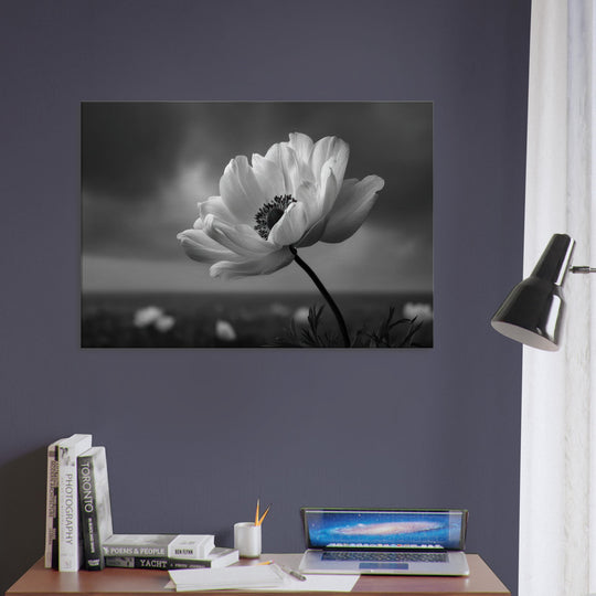 9f29b2dd-80fc-436a-84e9-b93fe5e7e37d