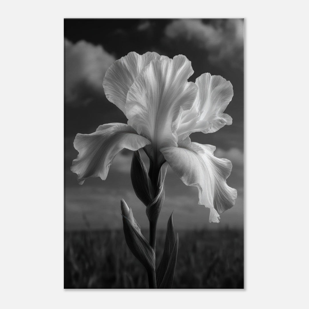 9f95a86f-111e-46e4-bbdb-48615f3e638c