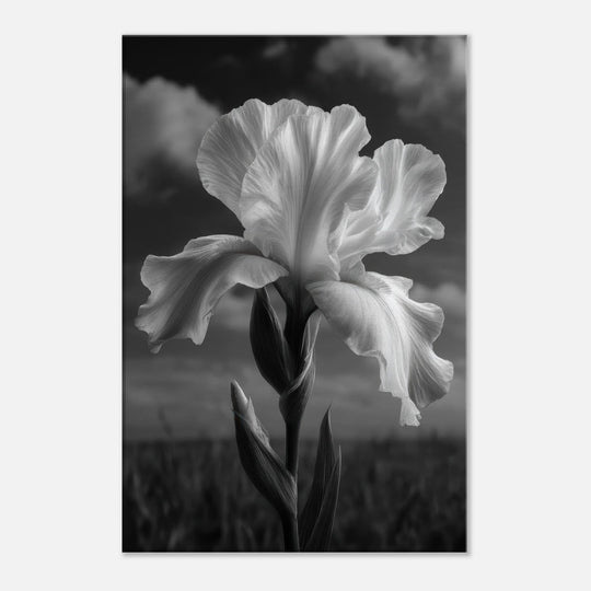 9f95a86f-111e-46e4-bbdb-48615f3e638c