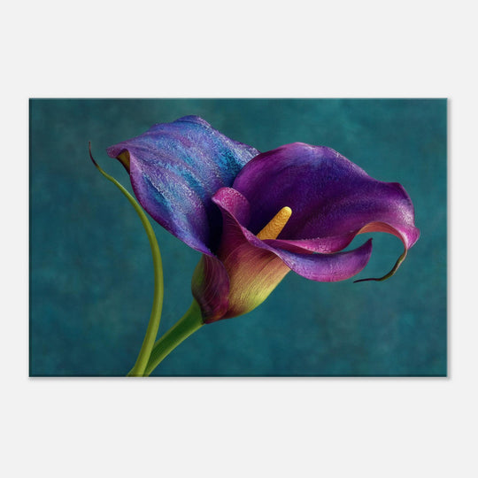 9fa742db-b778-4b5e-abf5-5b8415c05210