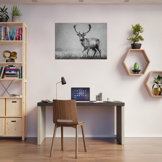 a0fb92a0-98fe-42db-9a69-d201a23509d9