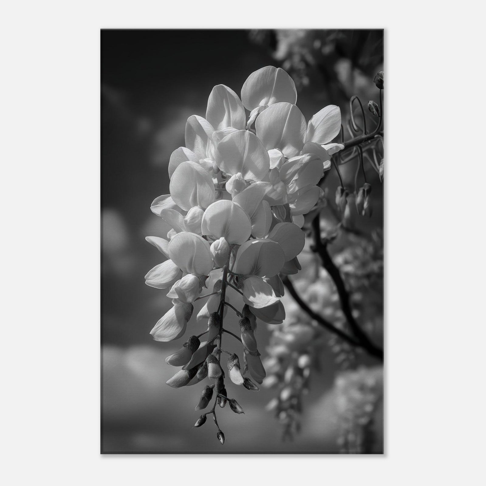 a2e138e1-fc30-4d32-b27a-ace78c177e42