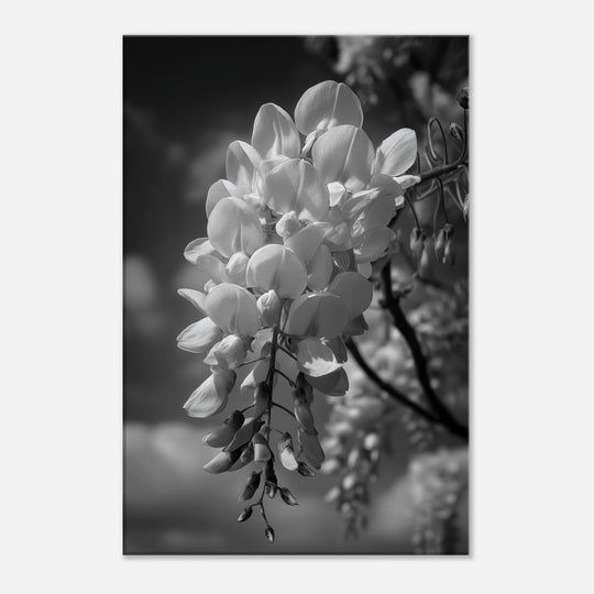 a2e138e1-fc30-4d32-b27a-ace78c177e42