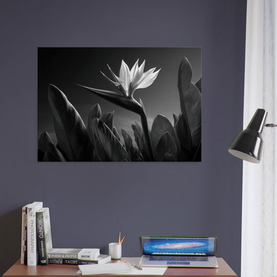 a300187b-56b6-44a2-b2a9-d234752bc1ee