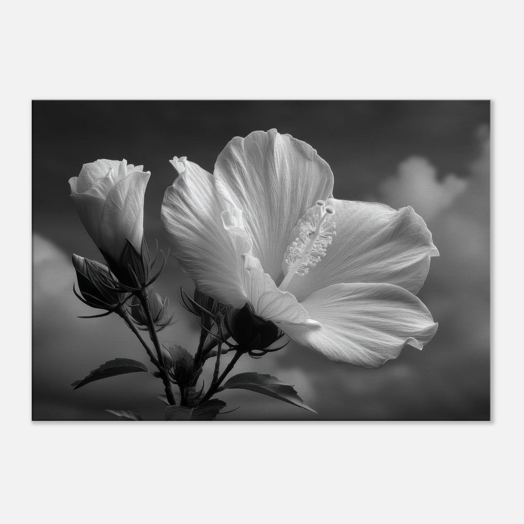 a3638256-86b2-4928-b2c7-872126cc63d4