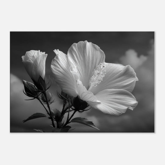 a3638256-86b2-4928-b2c7-872126cc63d4