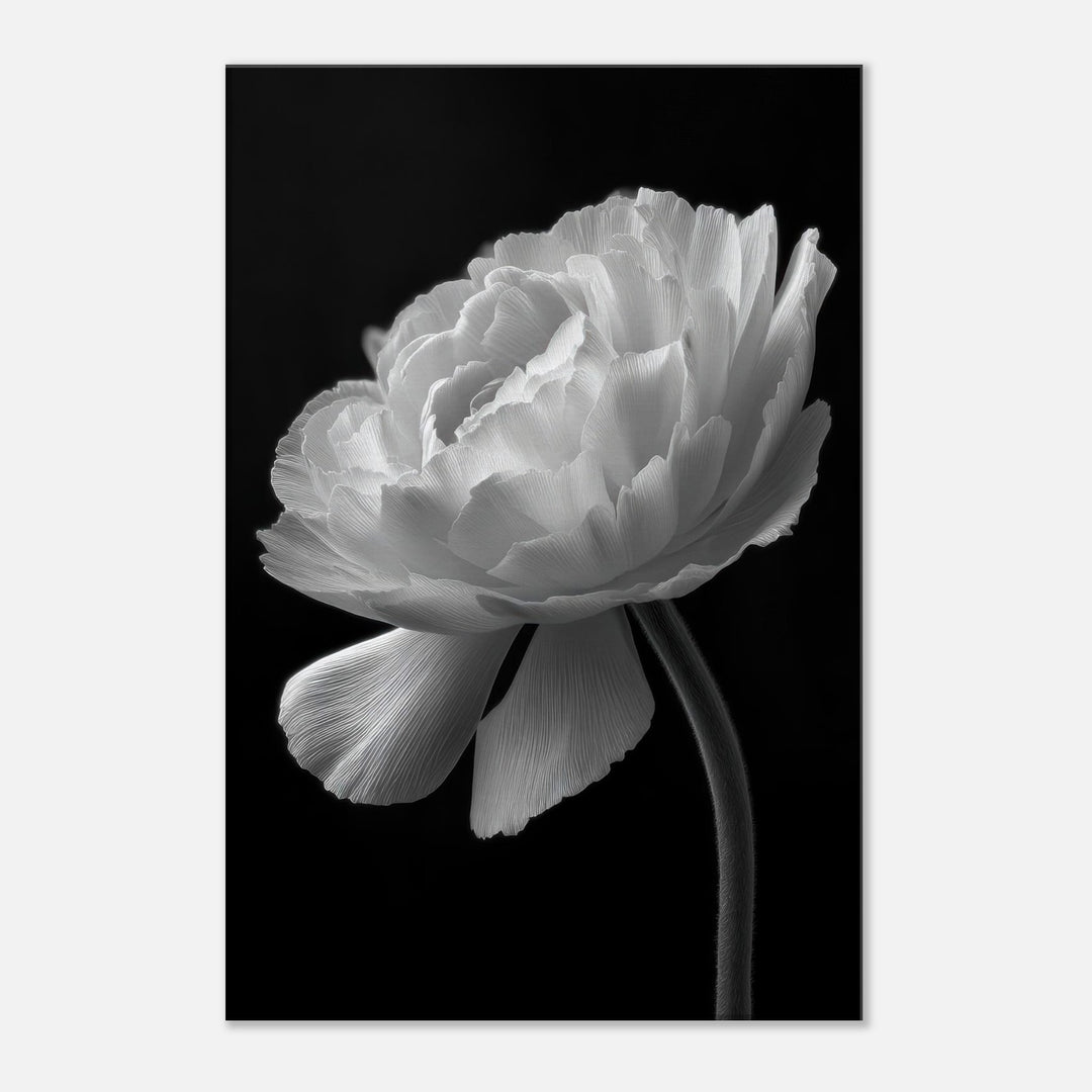 a3b2570a-9de7-4497-a5d4-7fb2b9ced0a9