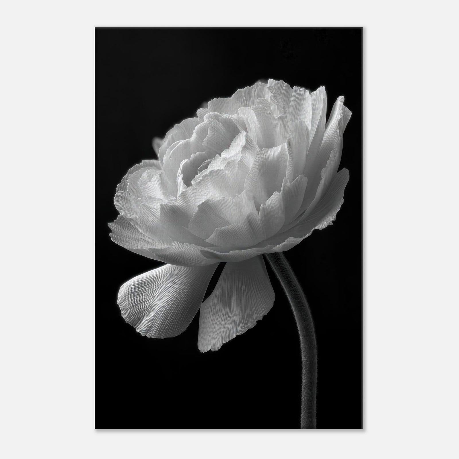 a3b2570a-9de7-4497-a5d4-7fb2b9ced0a9