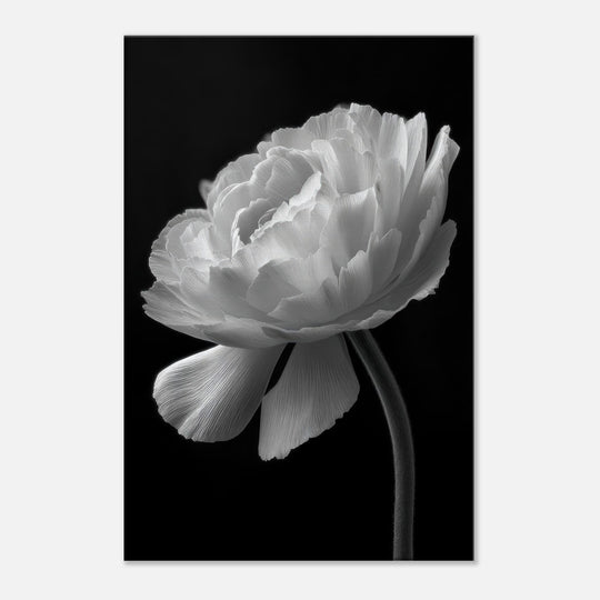 a3b2570a-9de7-4497-a5d4-7fb2b9ced0a9