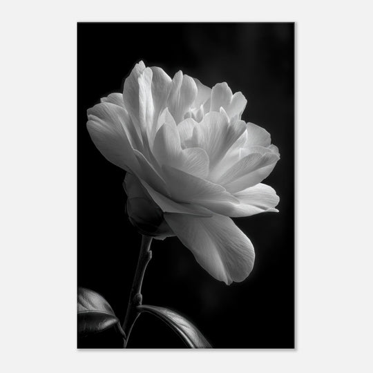 a46c7b51-c839-43c1-bea2-5f1d5a5dad7a