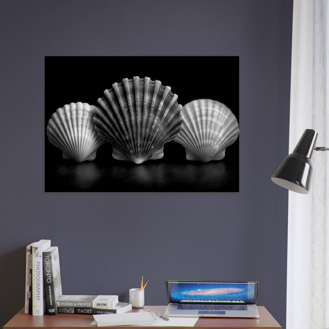 a4751991-d942-4909-841e-fc1e0b505f3a