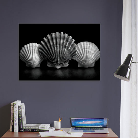 a4751991-d942-4909-841e-fc1e0b505f3a