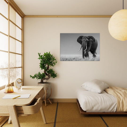 a47ac7ef-2f12-48c8-a539-d939dc9b1b8c