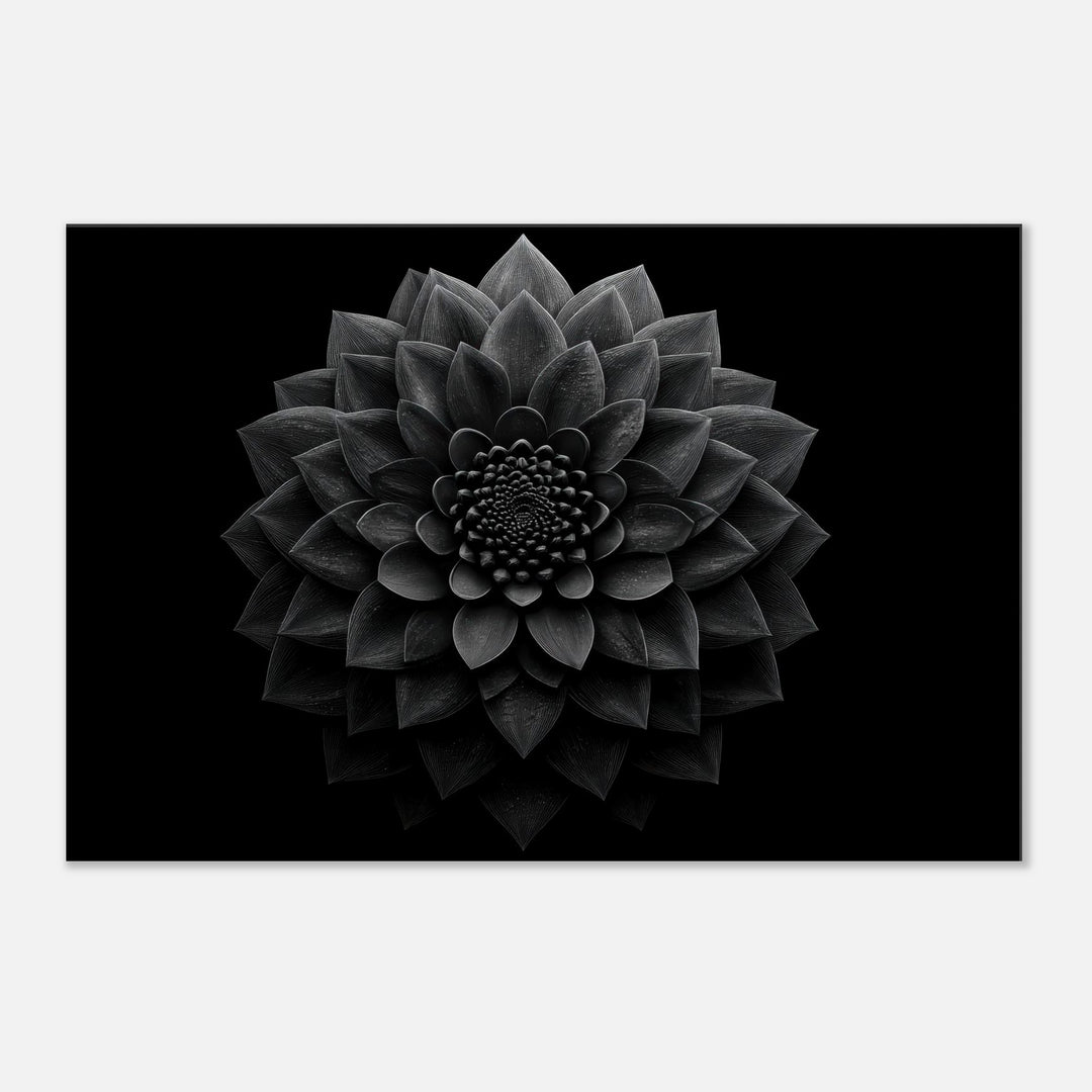 a55eedbf-509f-41cd-b291-c3c24af10f14