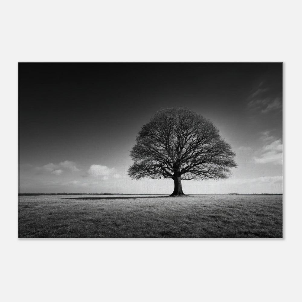 a564b90c-4a91-4a10-bcf9-86046b43e8ea