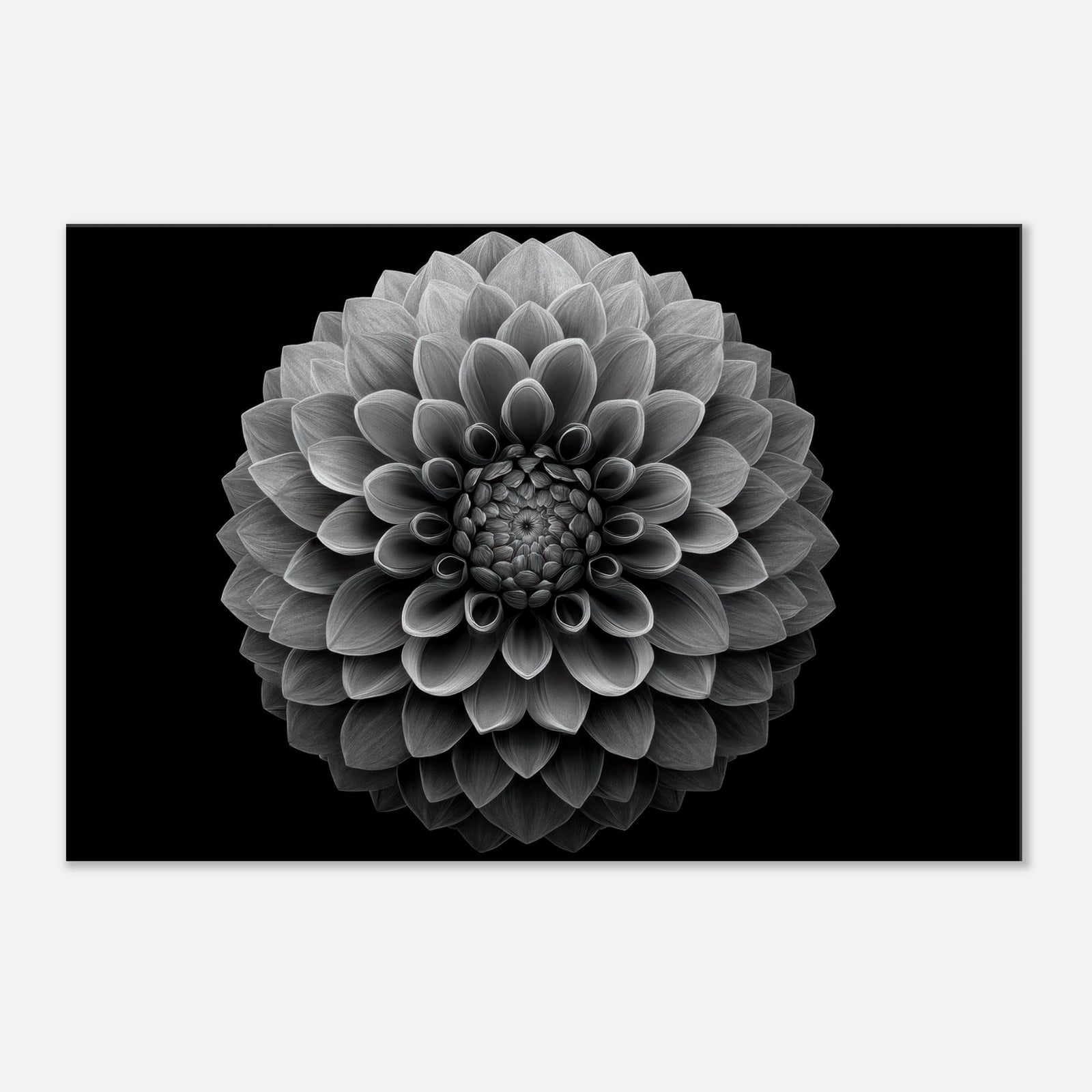 a5671ac2-51a8-4004-8637-3d2343267d71