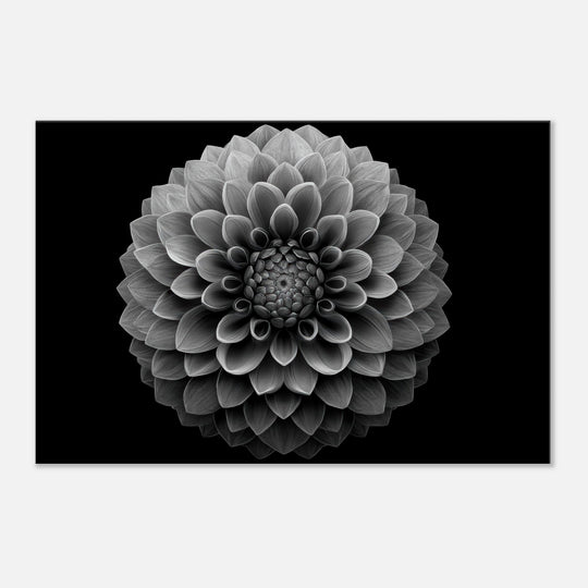 a5671ac2-51a8-4004-8637-3d2343267d71