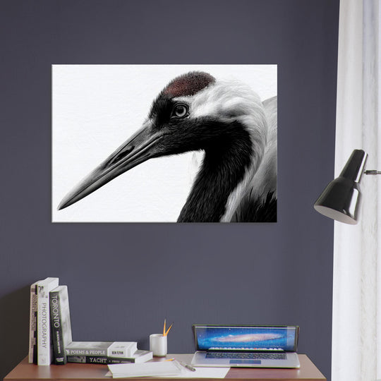 a5b02f56-1f1a-4436-bd25-ff9159d10585