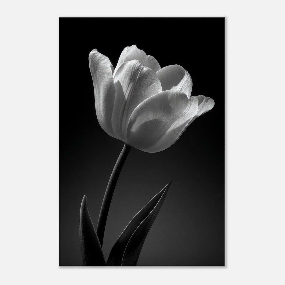 a5ecef0f-1443-43fc-b00e-b6da2b9625c3